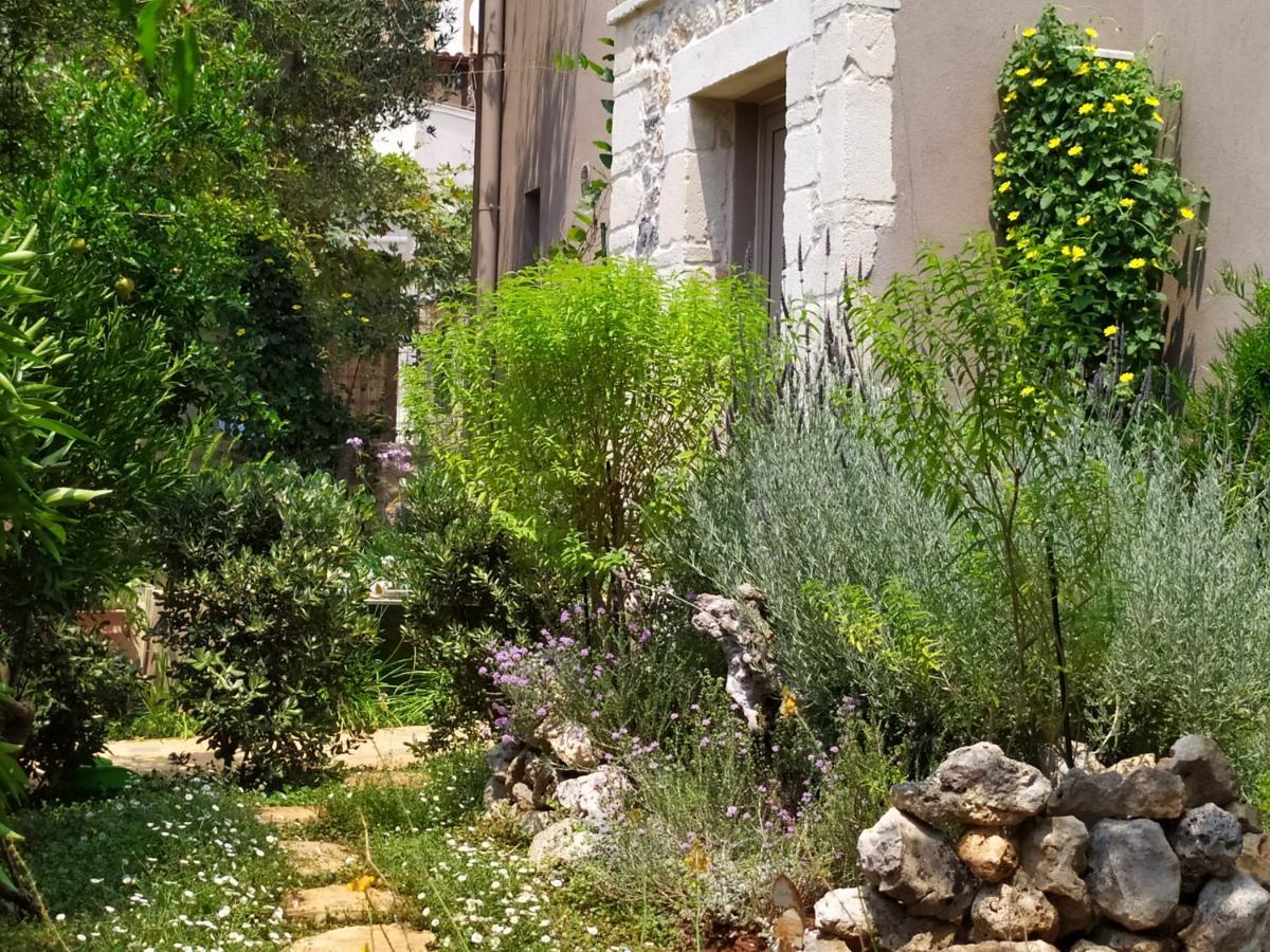 ואמוס Olive Lemon Biophilic House & Lush Forest Garden מראה חיצוני תמונה