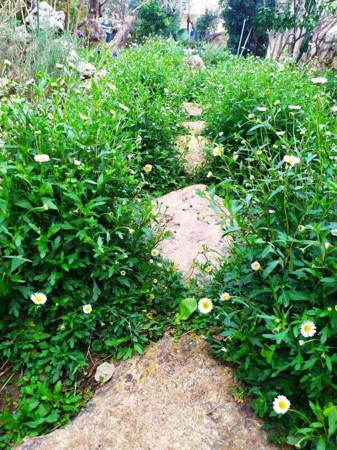 ואמוס Olive Lemon Biophilic House & Lush Forest Garden מראה חיצוני תמונה