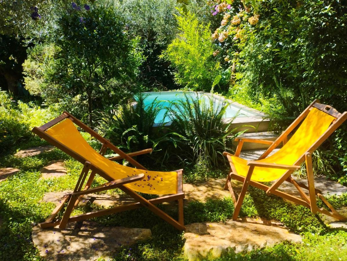 ואמוס Olive Lemon Biophilic House & Lush Forest Garden מראה חיצוני תמונה