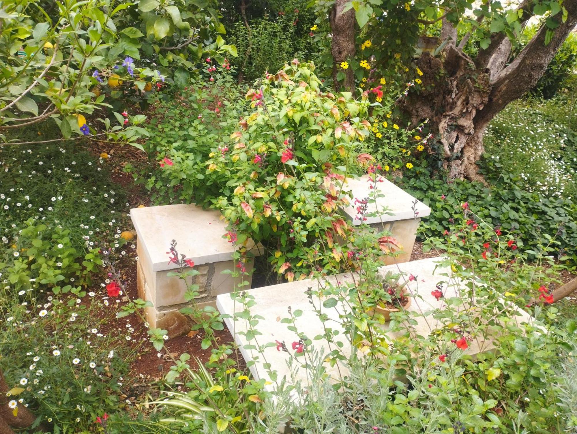 ואמוס Olive Lemon Biophilic House & Lush Forest Garden מראה חיצוני תמונה