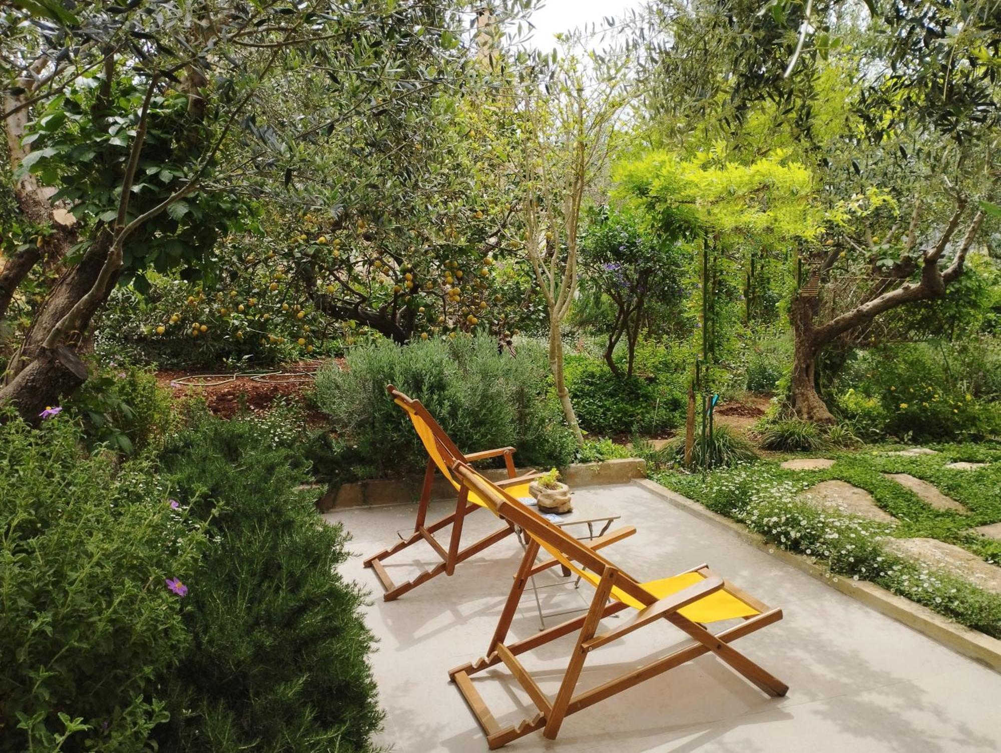 ואמוס Olive Lemon Biophilic House & Lush Forest Garden חדר תמונה