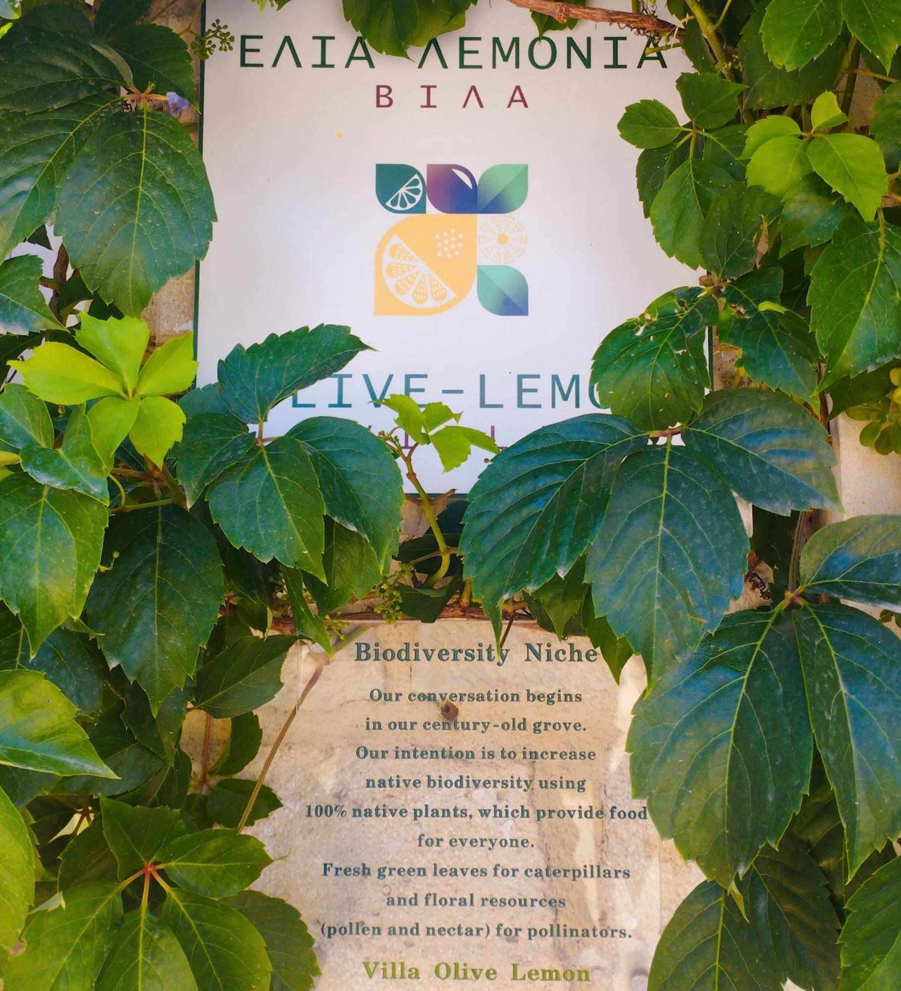 ואמוס Olive Lemon Biophilic House & Lush Forest Garden חדר תמונה